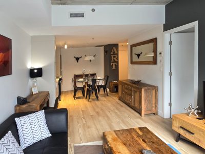 Furnished Serviced 1 Bedroom Apartment in Montreal
