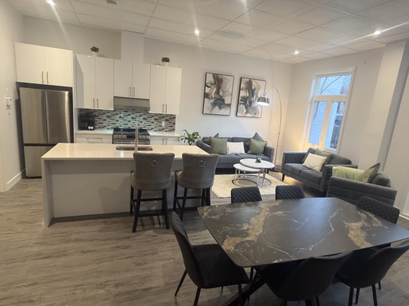 Bright, Brand-New 3-Bedroom Furnished Condo in Villeray